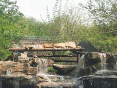 -北京野生动物园