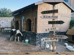 -HERRE·FARM 赫尔露营农场·团建聚会包场