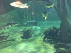 -华夏文旅海洋公园