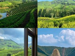 -阿露佳·舌尖上的安吉菜