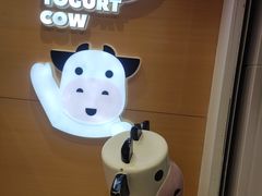 -一只酸奶牛(东方广场店)