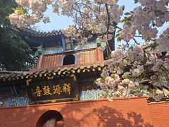 -洛阳白马寺