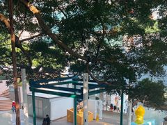 -九龙公园
