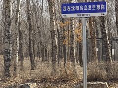 -沈阳鸟岛
