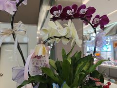 -福田卓悦INTOWN购物中心