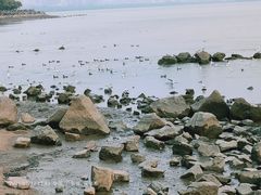 -深圳湾公园(南山区)
