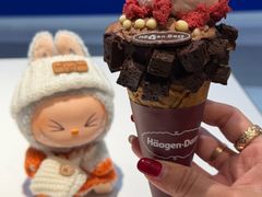 -哈根达斯(大洋百货店)