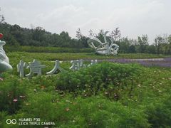 -东郊湿地公园