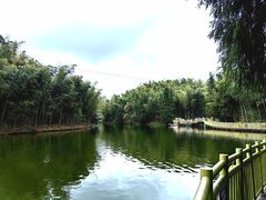-蜀南竹海景区