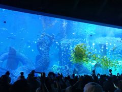 -波塞冬旅游度假区