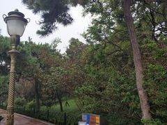 -青岛沙子口国家中心渔港