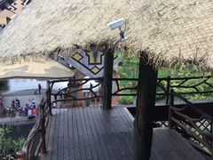 -海南槟榔谷黎苗文化旅游区