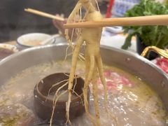 -朴小妹人参鸡汤火锅(长白山万达店)