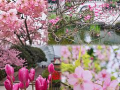 -南山植物园