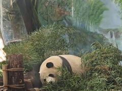 -杭州动物园