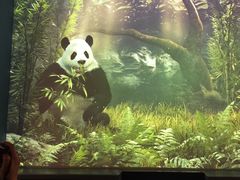 -珠海横琴国家地理探险家中心(创新方)