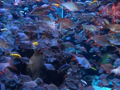 -成都浩海立方海洋公园