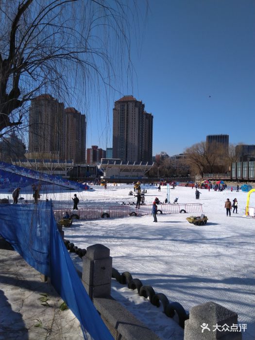 2019工体冰雪嘉年华-我爱八爪鱼图片