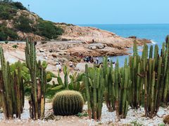 -广东惠东海龟国家级自然保护区