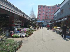 -平吉花卉市场