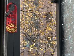 -聚通装潢(浦东旗舰店)