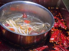 -二荆条·蜀鲜汇城市森林火锅