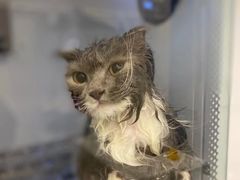 -comecome来吧宠物(奥克斯中心店)