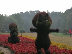 -富乐山