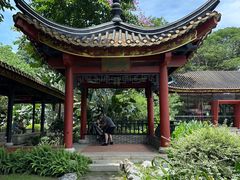 -顺峰山公园