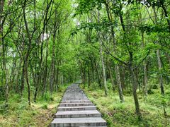 -南京金牛湖风景区