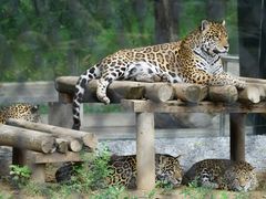 -北京野生动物园