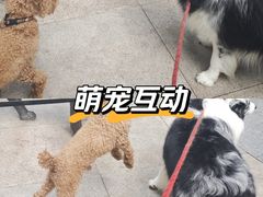 -中粮·祥云小镇