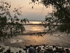 -宝安西湾红树林湿地公园