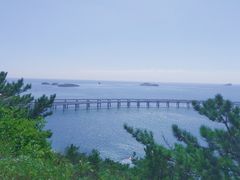 -星海湾跨海大桥