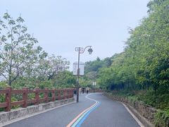 -杭州半山国家森林公园