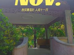-叶家花园