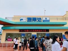 -秦皇岛乐岛海洋王国