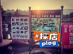 -大屏嶂森林公园
