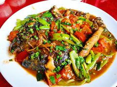 剑骨鱼啤酒炖-生态苑农庄(十里画廊遇龙河店)
