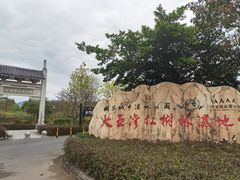 -大亚湾红树林城市湿地公园