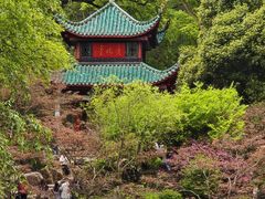 -岳麓山风景名胜区