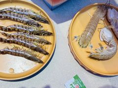 -海底捞大排档火锅(打浦路店)