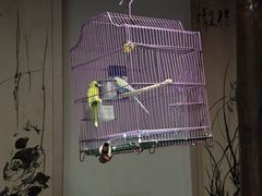 -博山菜·大厨烙馍村(金乔社区店)