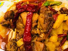 -巴依老爷新疆美食(望京小街店)