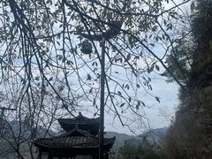 -新富特功夫足疗(华都园大厦店)