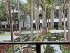 -半山半岛洲际度假酒店·观海廊