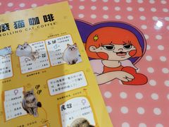 -滚猫咖啡·猫咖·猫友好撸猫(未来城店)