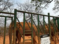 -昆明动物园