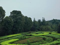 -铁山坪森林公园