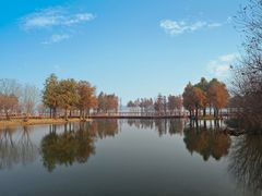-贡湖湾湿地公园